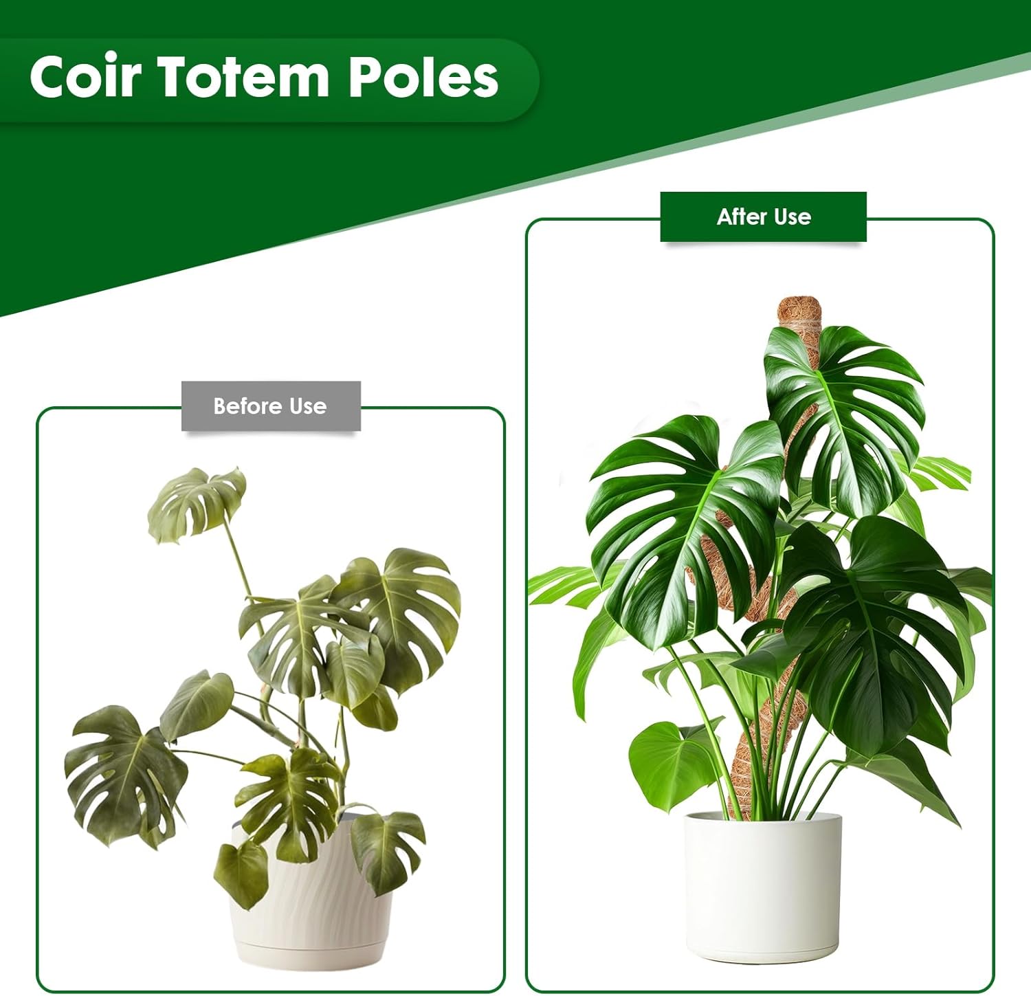 Thumbnail 2 de Mactoou Moss pole 4 pack, 65cm coir support