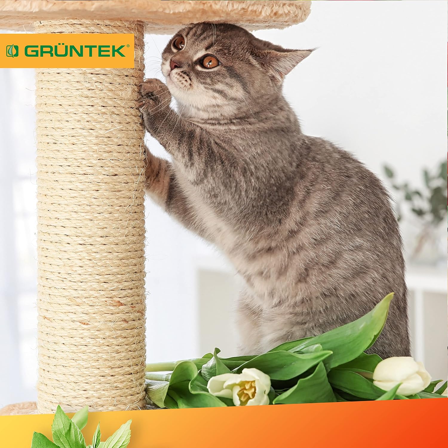 Detalle 2 de GRÜNTEK Corde Sisal Arbre à Chat 6mm Rechange Ficelle Sisal – rouleau 60 m