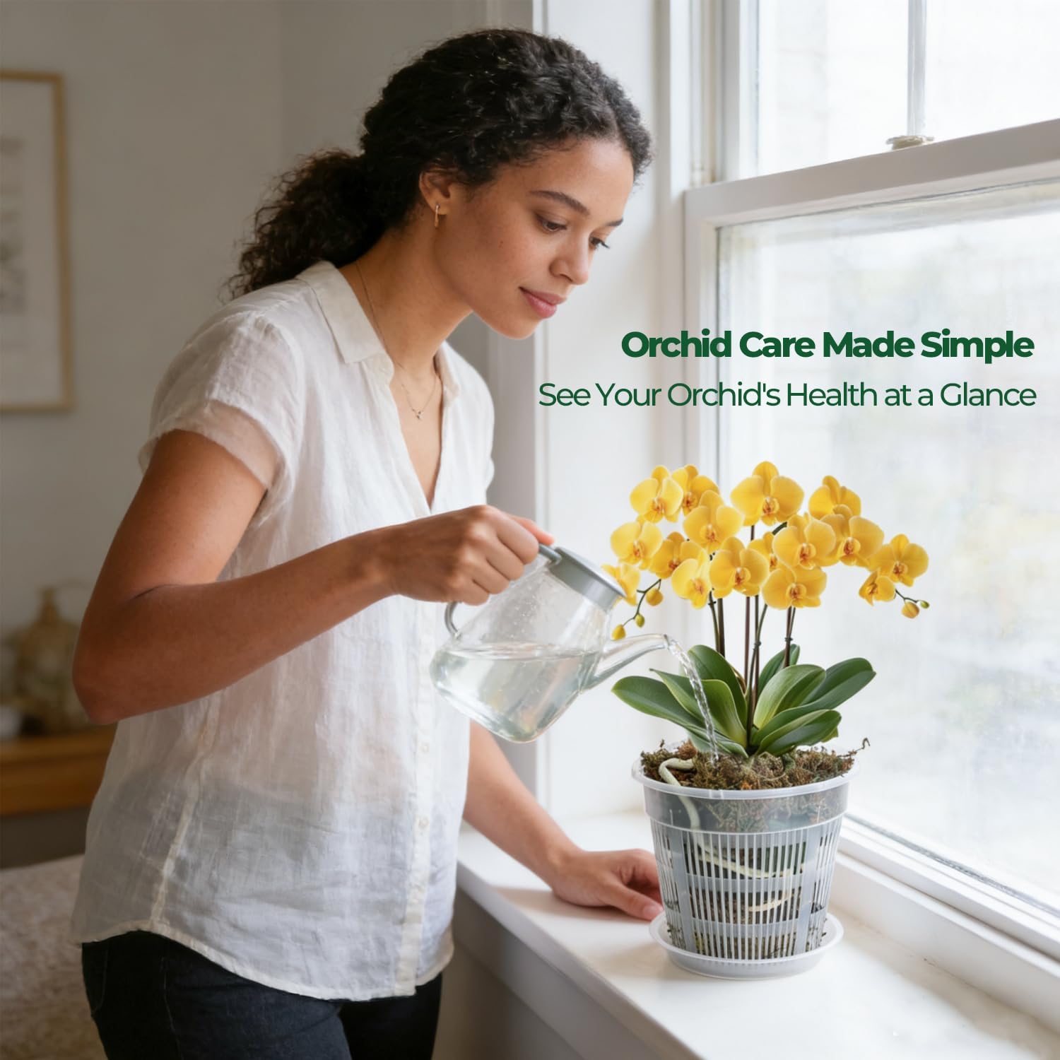 Thumbnail 4 de T4U Orchid Pot 6-Pack (16cm) with Holes and Matching Saucers for Indoor/Outdoor Repotting