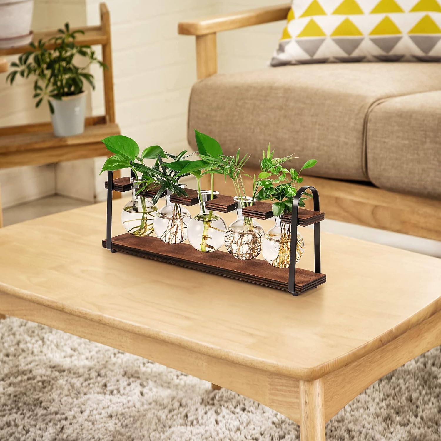 Detalle de THYGIFTREE 4300 Five-Bulb Plant Propagation Station with Glass Vases