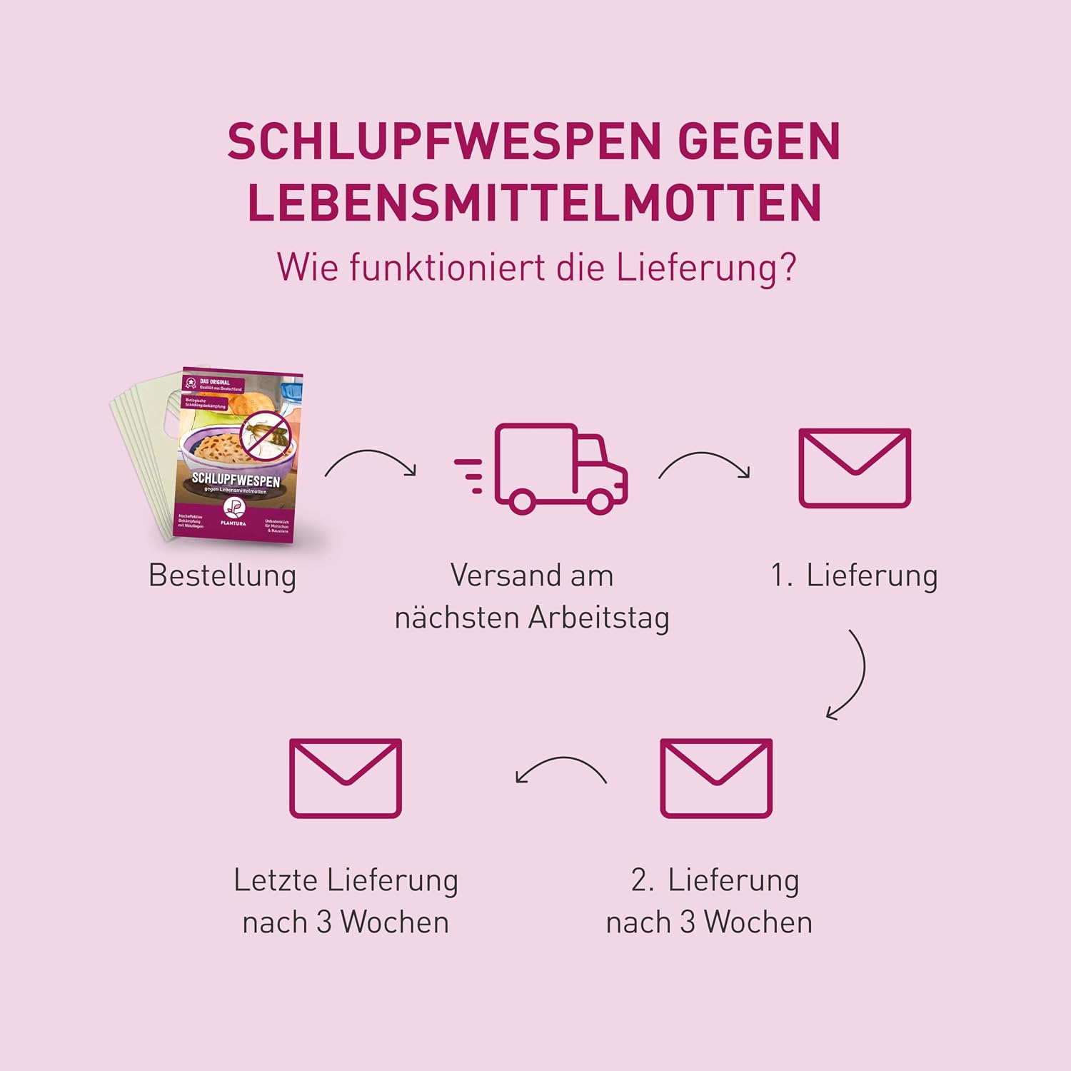 Thumbnail 6 de Plantura Schlupfwespen gegen Lebensmittelmotten, 9 Karten – natürliche Lösung für Mottenprobleme