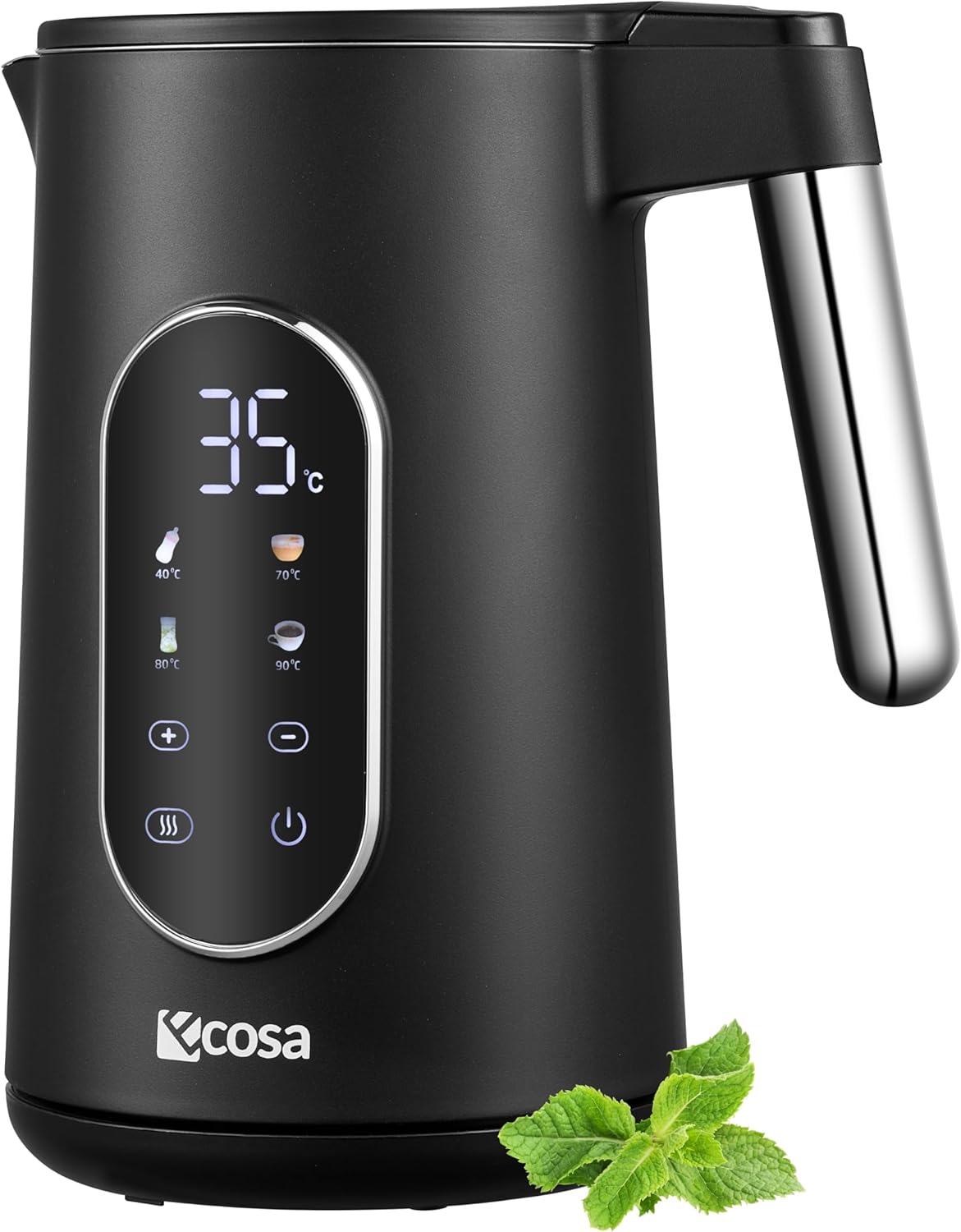 Bouilloire en acier inoxydable avec réglage de température 40 à 100 °C, 1,7 L, affichage LED et maintien au chaud