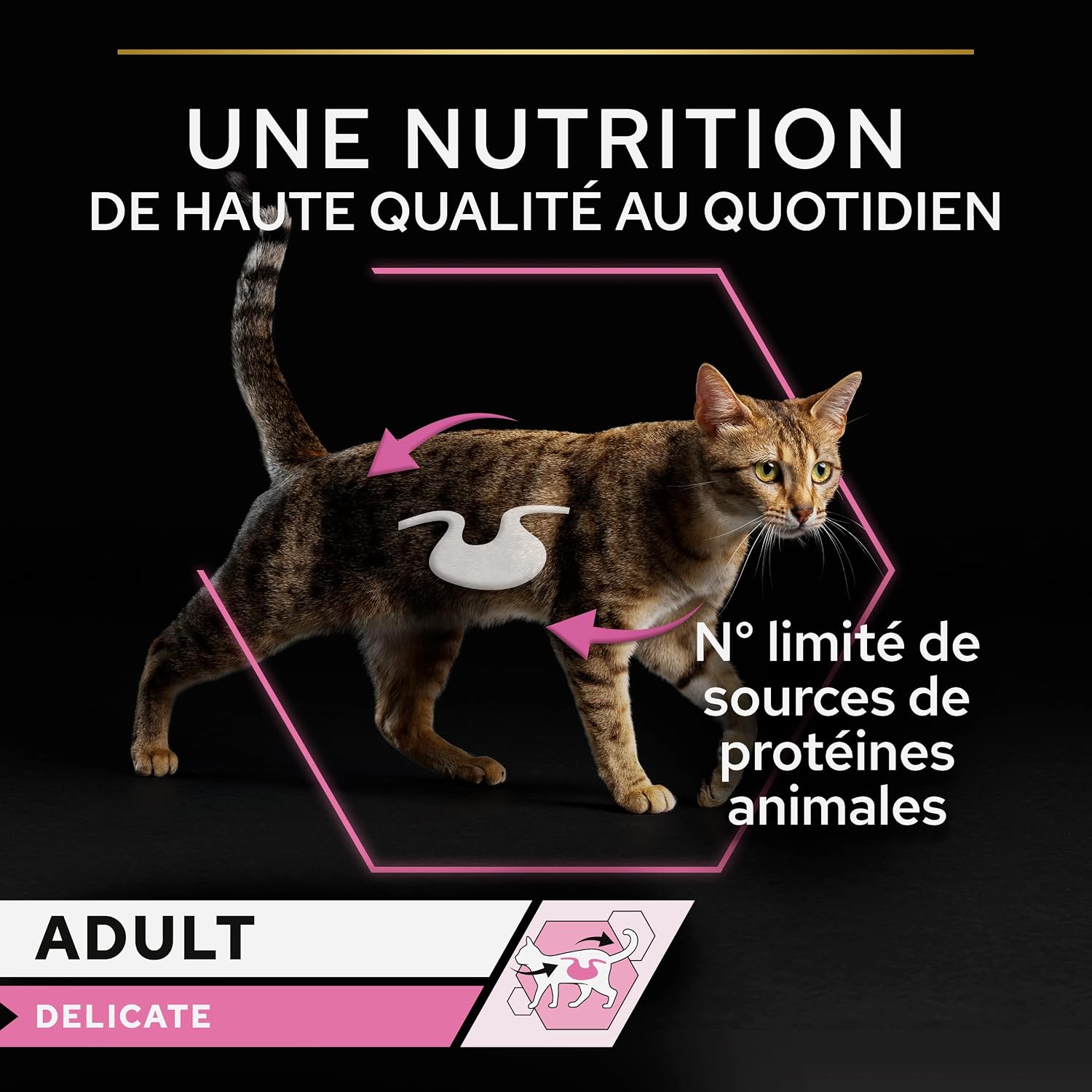 Detalle 2 de PRO PLAN Adulte Delicate Digestion Dinde en Sauce 10x85g – Croquettes en sauce pour chats adultes à digestion sensible