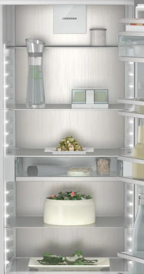 Detalle de Liebherr RBsdc 525i-22: 1-türiger Kühlschrank mit BioFresh, FreshAir und PowerCooling