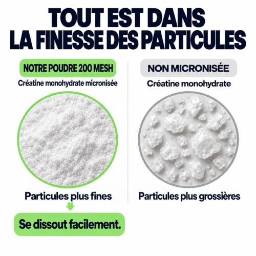 Detalle de Creatine Monohydrate Poudre 500 g Micronisée Sans Goût – 147 Doses, Vegan (Marque 4)