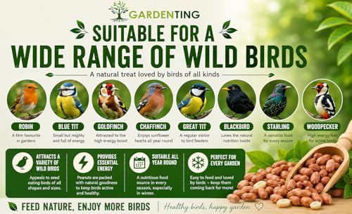 Detalle de Garden Ting Premium Peanut Kernels Wild Bird Food, 3 Litre