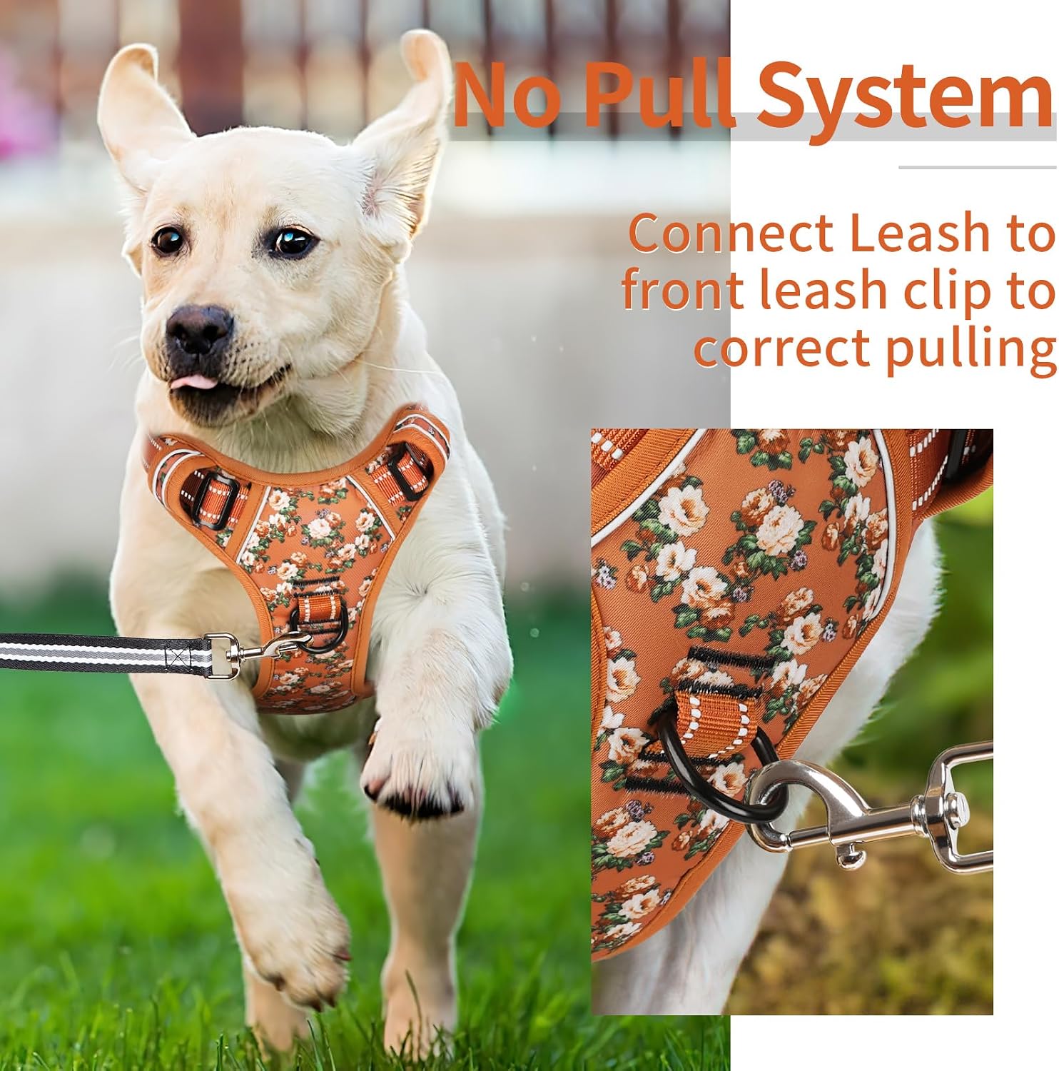 Detalle de HEELE Medium No Pull Dog Harness M