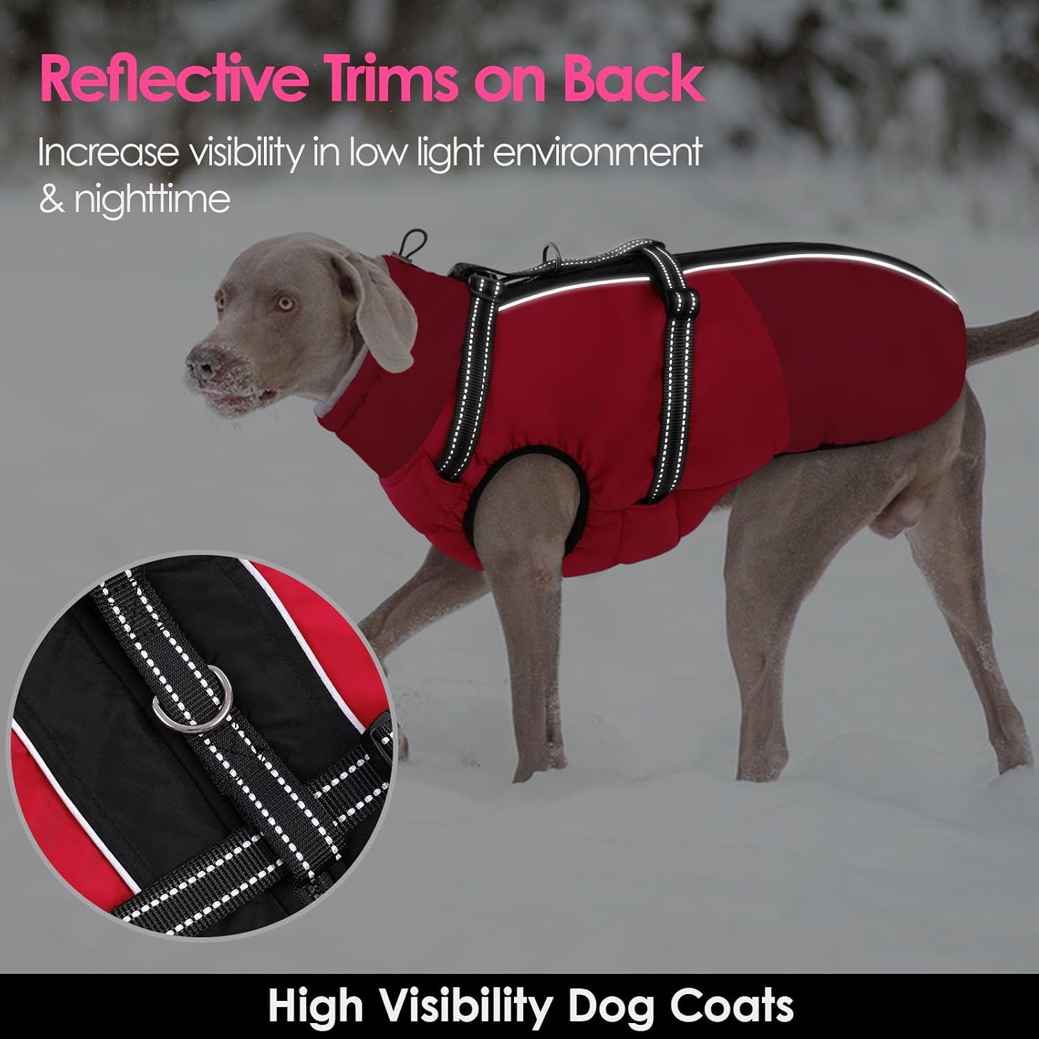 Thumbnail 5 de AOFITEE Dog Coat, Size L