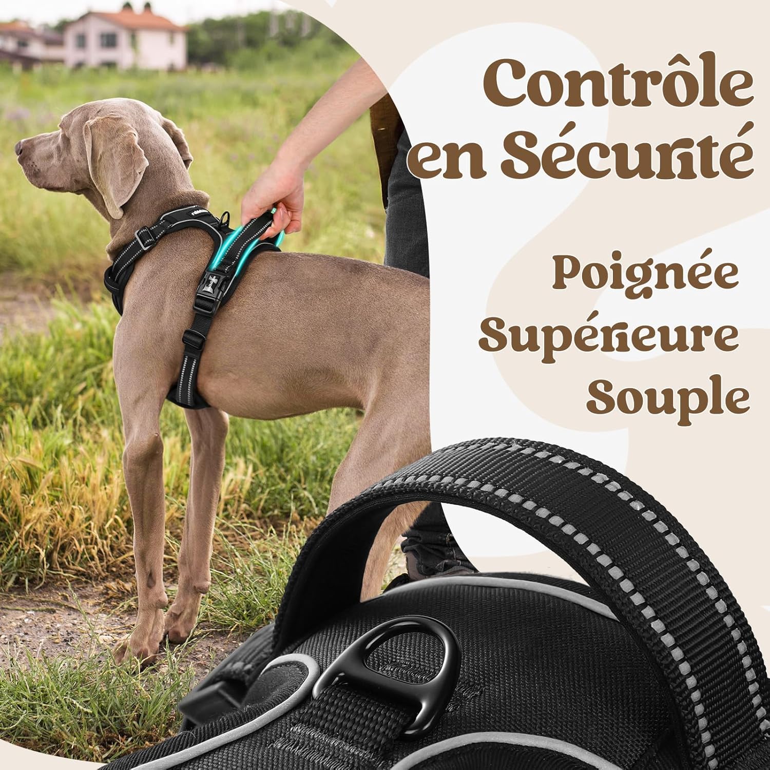 Detalle de rabbitgoo Harnais pour chien anti-traction à 3 boucles, poignée et attache devant, réglable et réfléchissant (XL, noir)