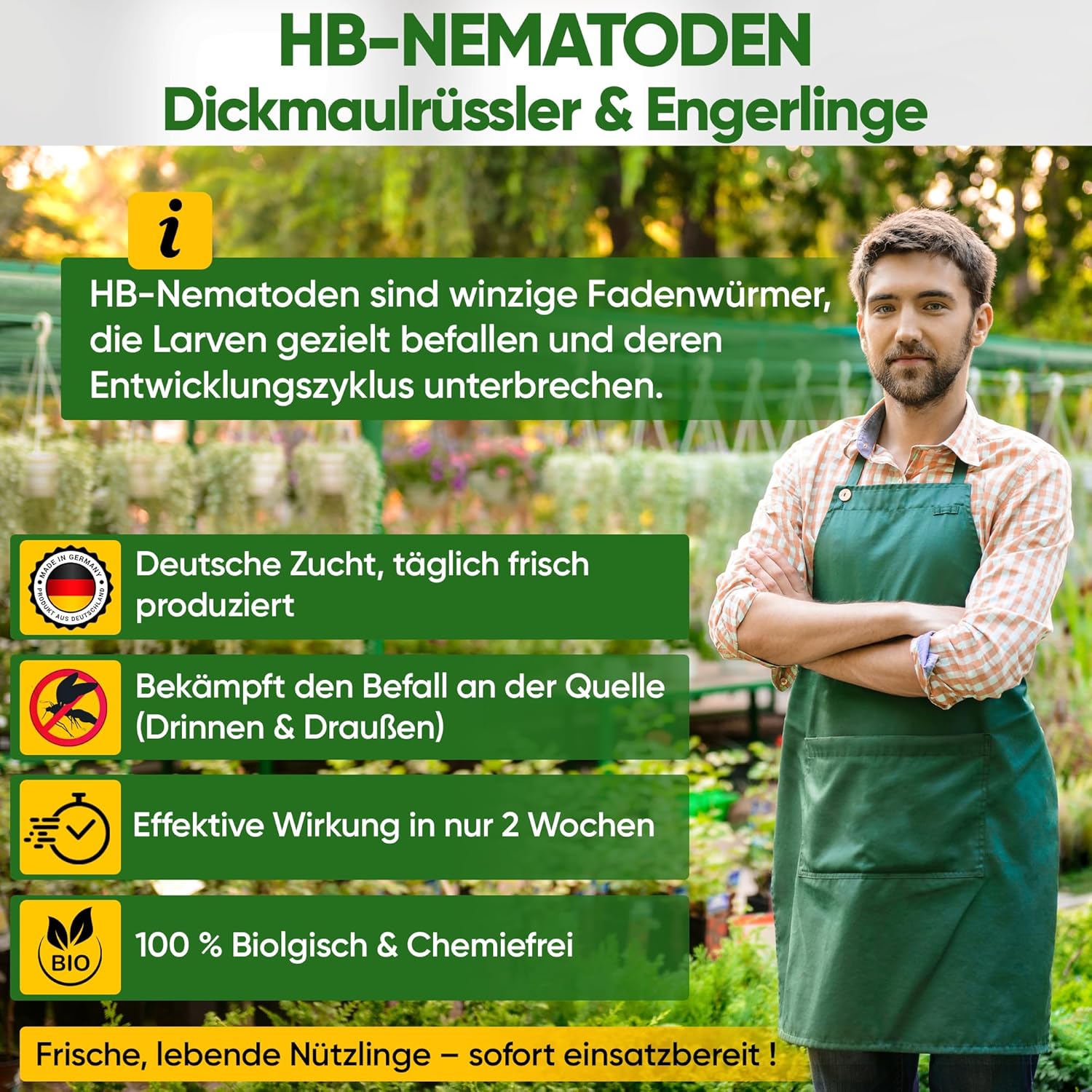 Thumbnail 5 de GREEN GUARDIA Power HB-Nematoden gegen Dickmaulrüssler & Engerlinge – 10 Mio. (20 m²) biologisch, chemiefrei