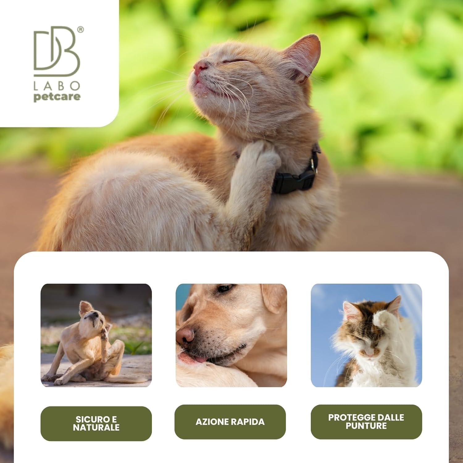 Thumbnail 3 de DBLabo Spray Antiprurito per Cani e Gatti 250 ml: sollievo naturale per pelle e irritazioni
