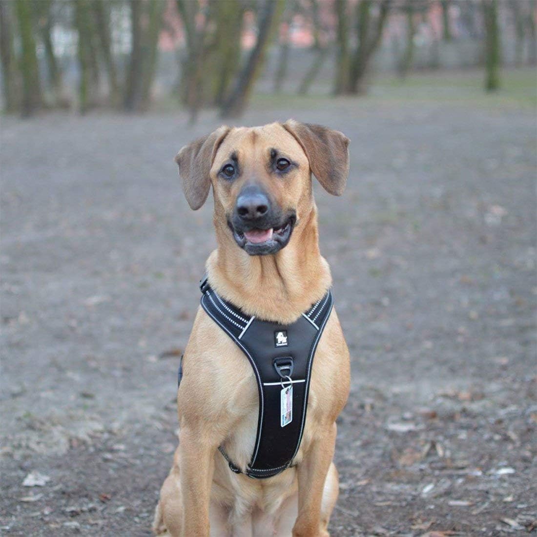 Thumbnail 5 de Truelove TLH5551 Dog Harness