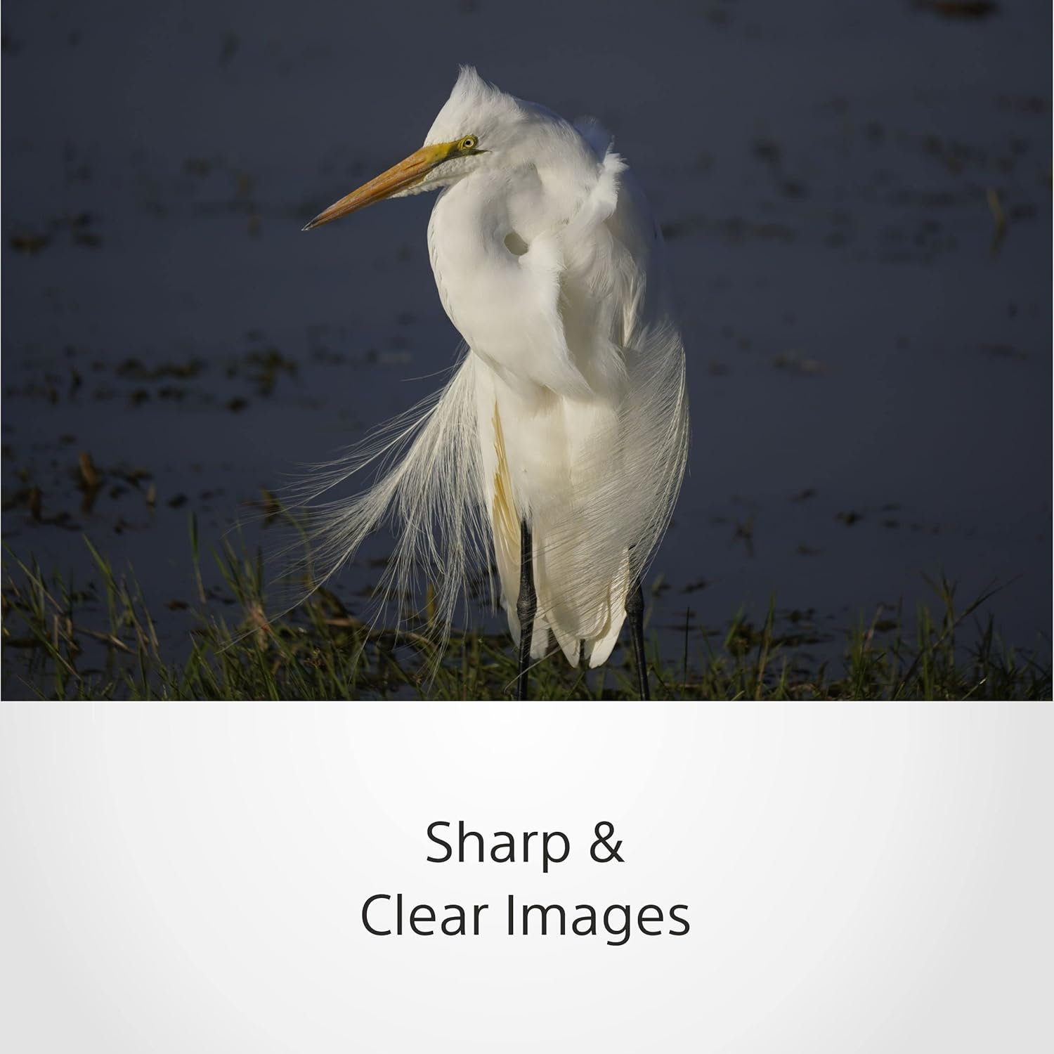 Thumbnail 3 de Sony E 70-350 mm f/4.5-6.3 G OSS 📷 Telezoom Super 