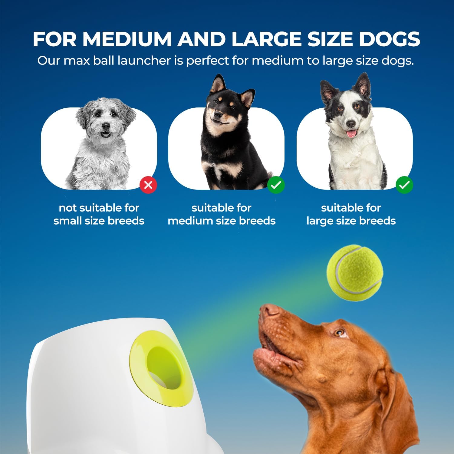 Thumbnail 5 de All for Paws Automatic Dog Ball Launcher – Rechargeable Interactive Fetch Toy (3 Balls Included)