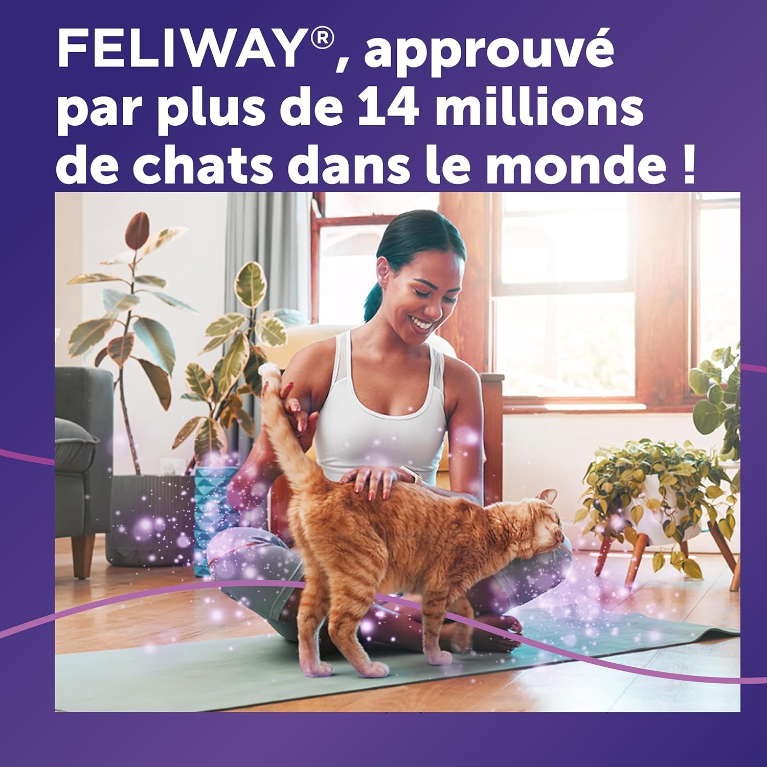 Detalle de FELIWAY Classic Spray 60 ml – Phéromones apaisantes pour chats