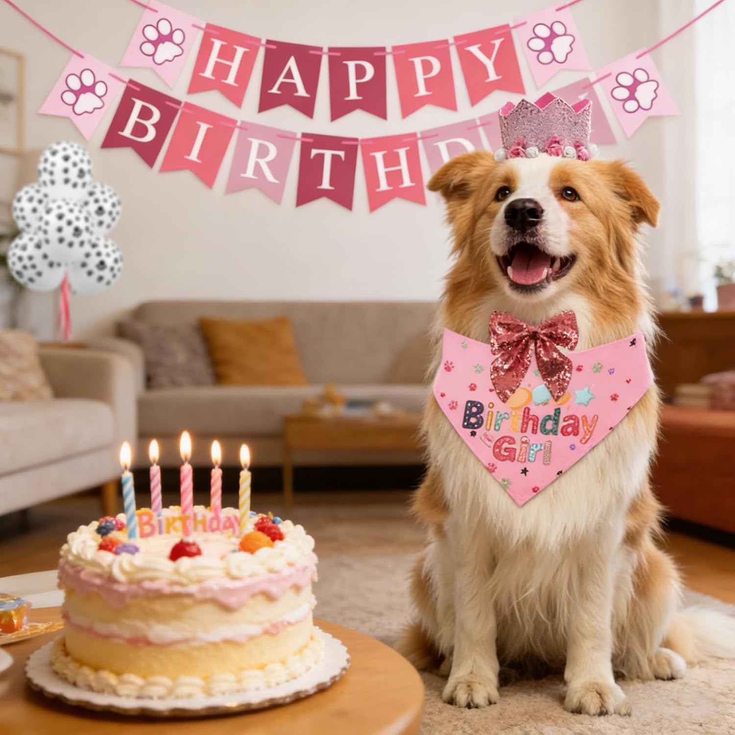 Thumbnail 3 de MINGBOLIN Dog Birthday Bundle: Bandana, Hat, Bowtie and Accessories