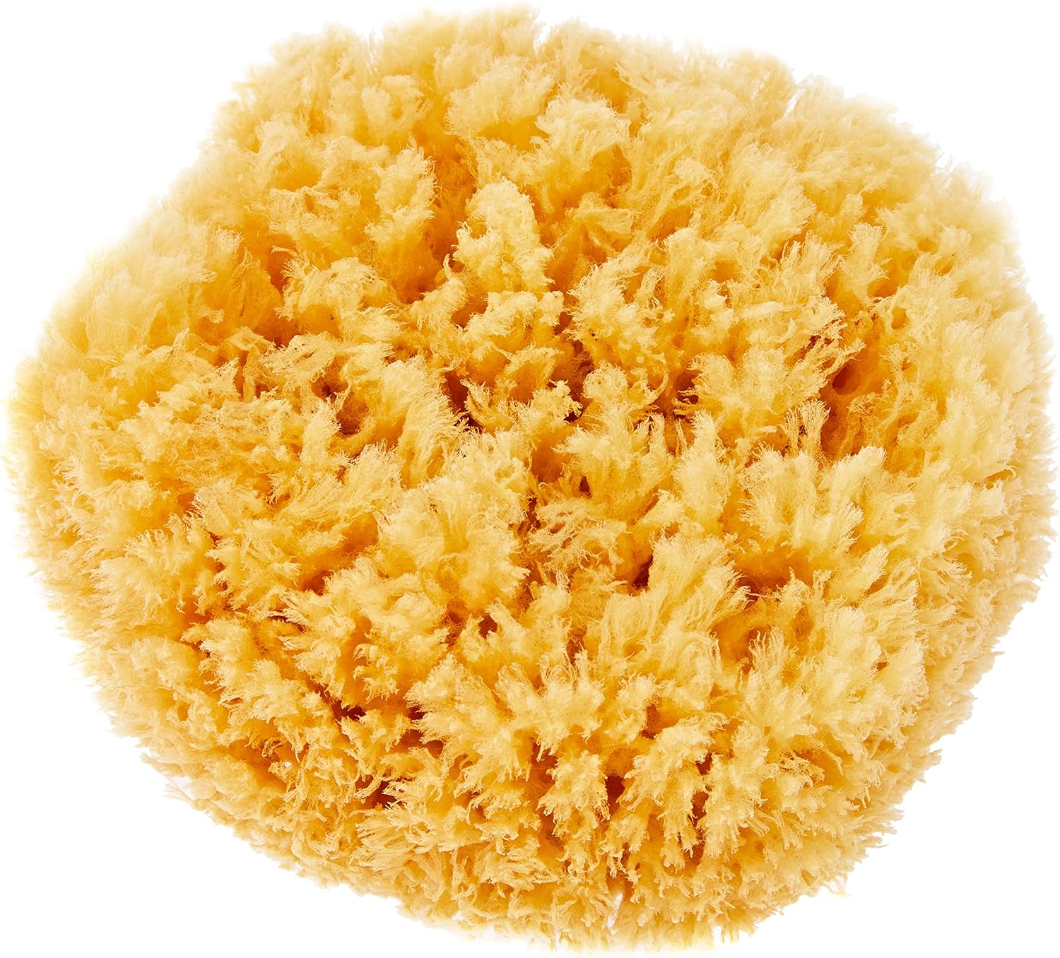 Detalle de Croll & Denecke Naturschwamm P130 Premium – naturalna gąbka do kąpieli