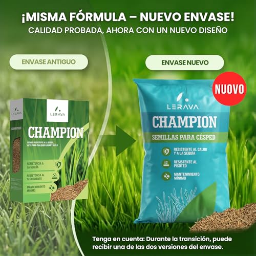 Detalle de LERAVA CHAMPION semillas césped (30 m²): mezcla resistente a la sequía para jardín natural