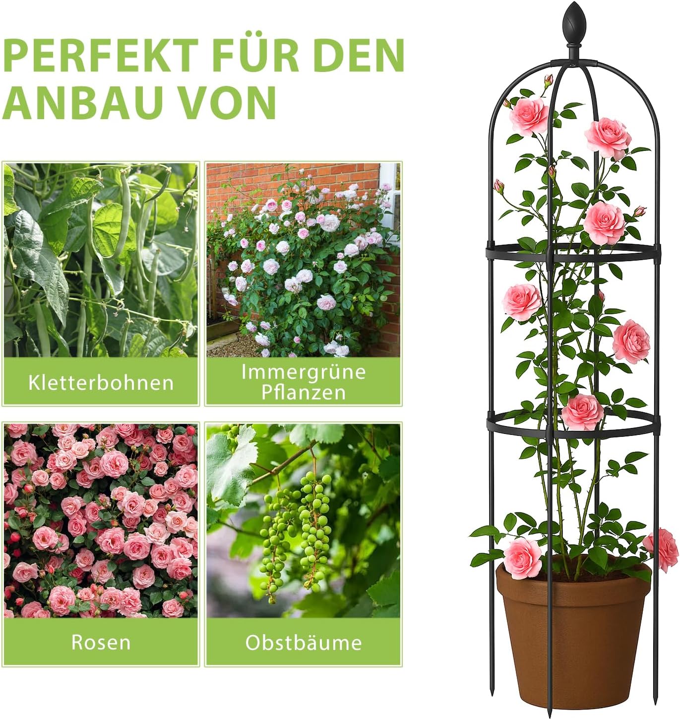 Thumbnail 5 de ZIKEBTUY 6 Stück Tomaten Rankhilfe 120 cm Höhe – Set mit Twist Tie und Clips, Metall Pflanzenhalter für Tomaten, Gurken, Rosen