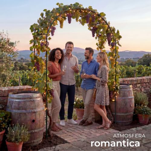Thumbnail 7 de TecTake Arco giardino in ferro per rampicanti - supporto robusto per rose e altri rampicanti