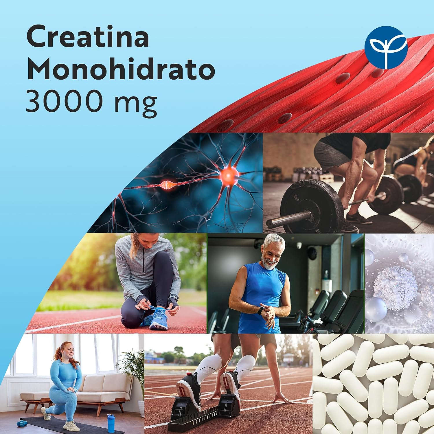 Detalle de Nutravita Creatina Monohidratada 3000 mg 300 comprimidos