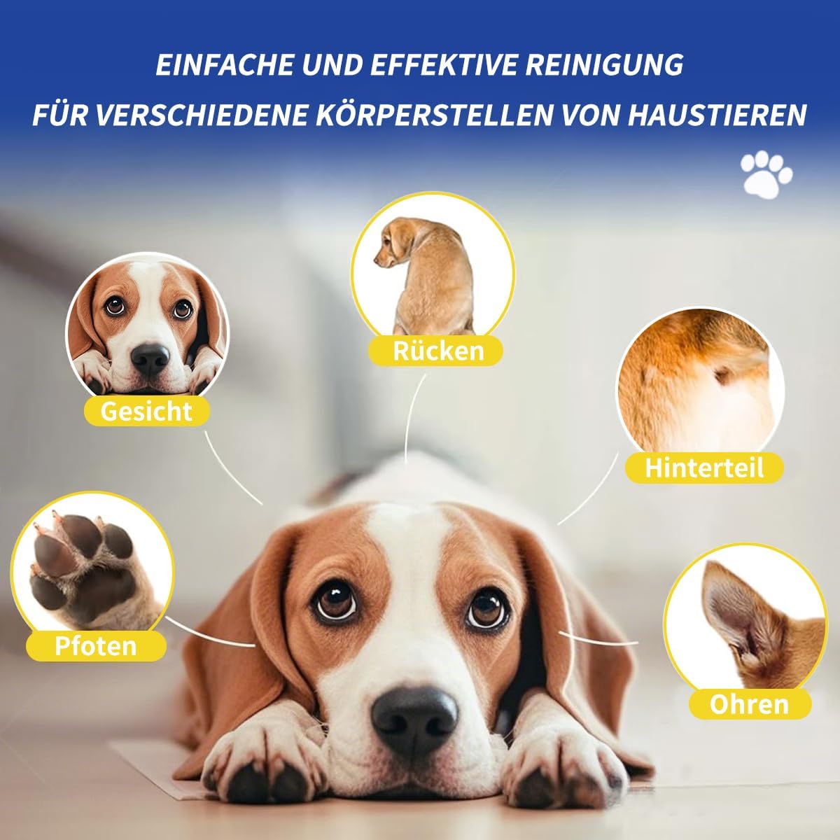 Thumbnail 6 de Petclear Fellpflegetücher Desodorierend für Hunde & Katzen