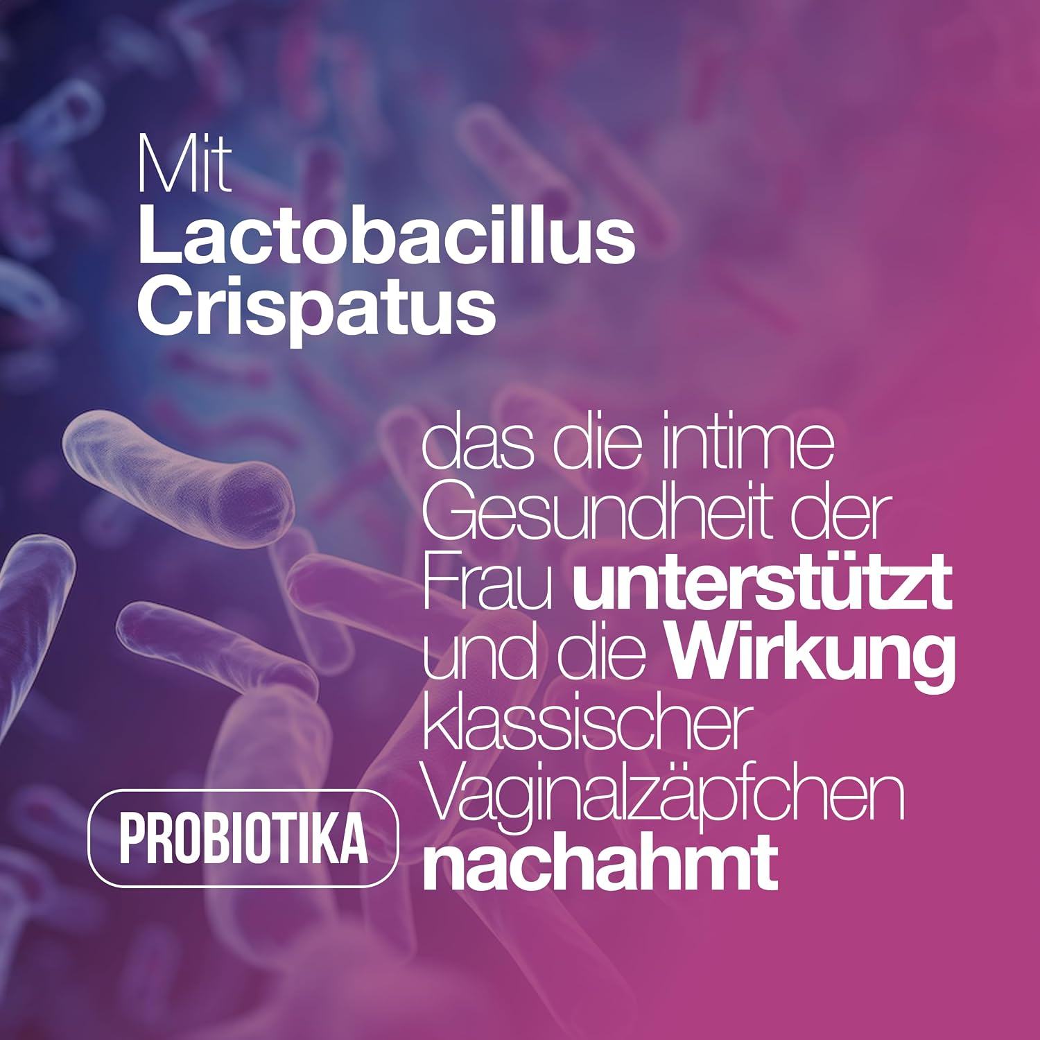 Detalle de Milchsäurebakterien Scheide, Kulturen Komplex für Frauen – Vaginal Probiotics