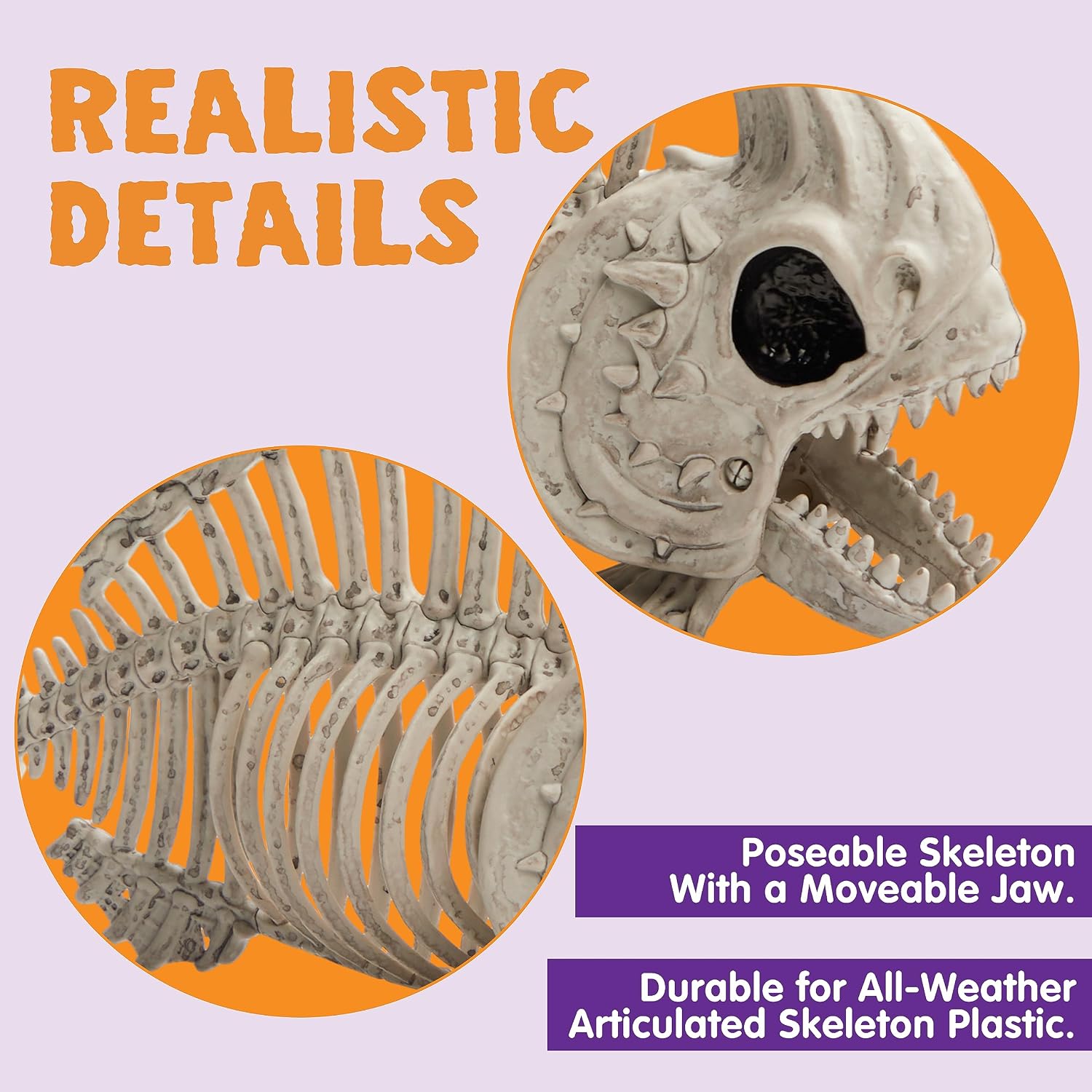Detalle 2 de JOYIN 15521 Posable Fish Skeleton Decorations, 9.5-Inch, 2-Piece Set