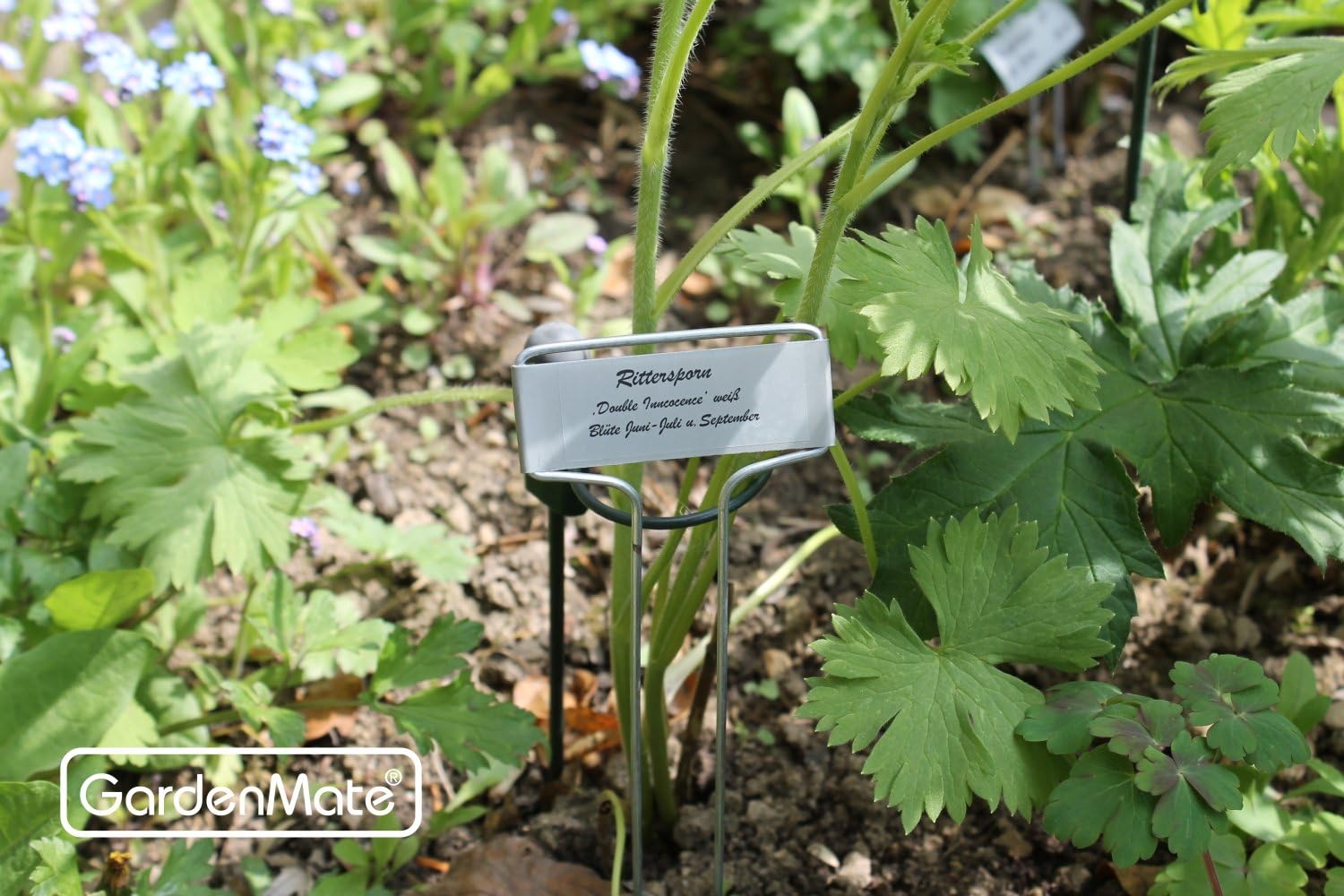Thumbnail 4 de GardenMate étiquettes plantes métal 25