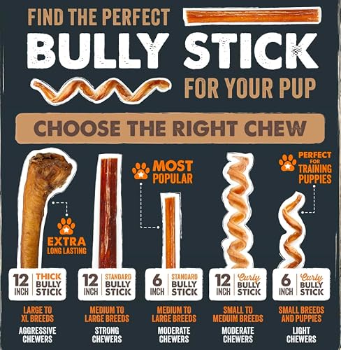 Thumbnail 2 de Mighty Paw 12" Bully Sticks for Dogs - Large, Medium and Small Breeds Chew