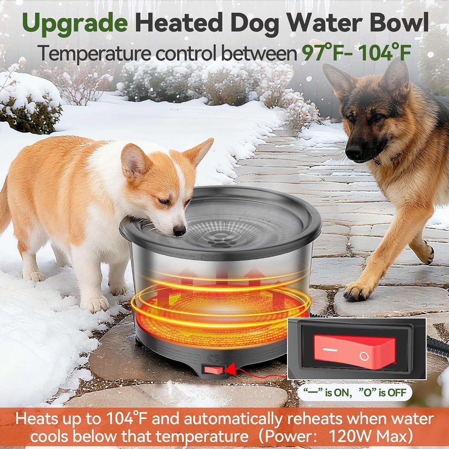 Detalle 2 de Twinsing Heated Dog Water Bowl 6.5L