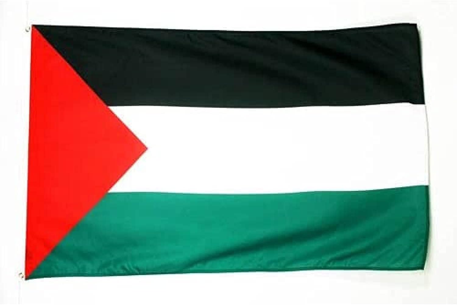 Thumbnail 3 de Bandiera Palestina 150x90 cm – AZ FLAG, Interno/Esterno Moderato, Occhielli Metallici