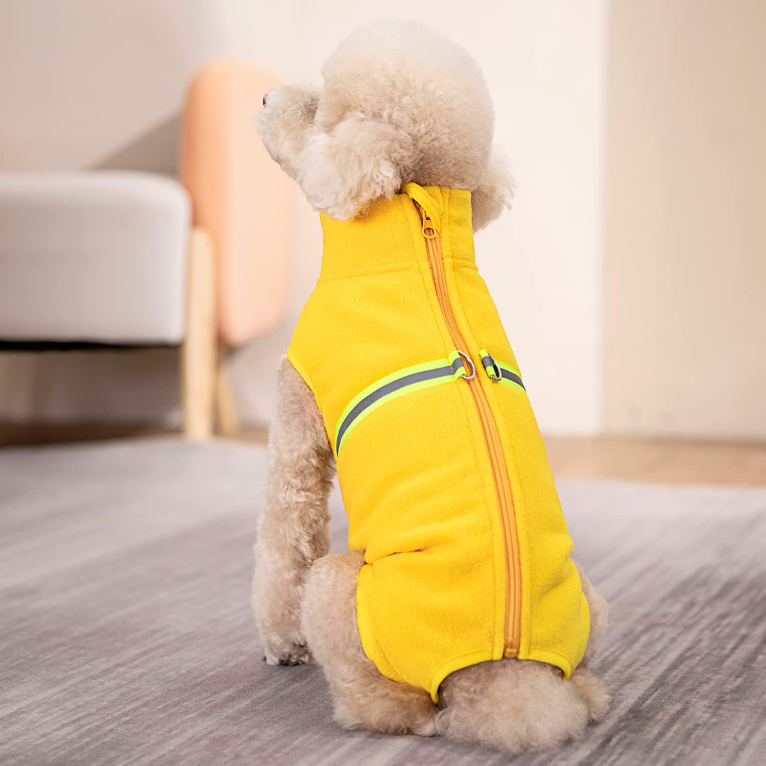 Thumbnail 5 de BT Bear Kleiner Hundepullover: Weiches Fleece mit reflektierender Weste – Wärme für kleine Vierbeiner