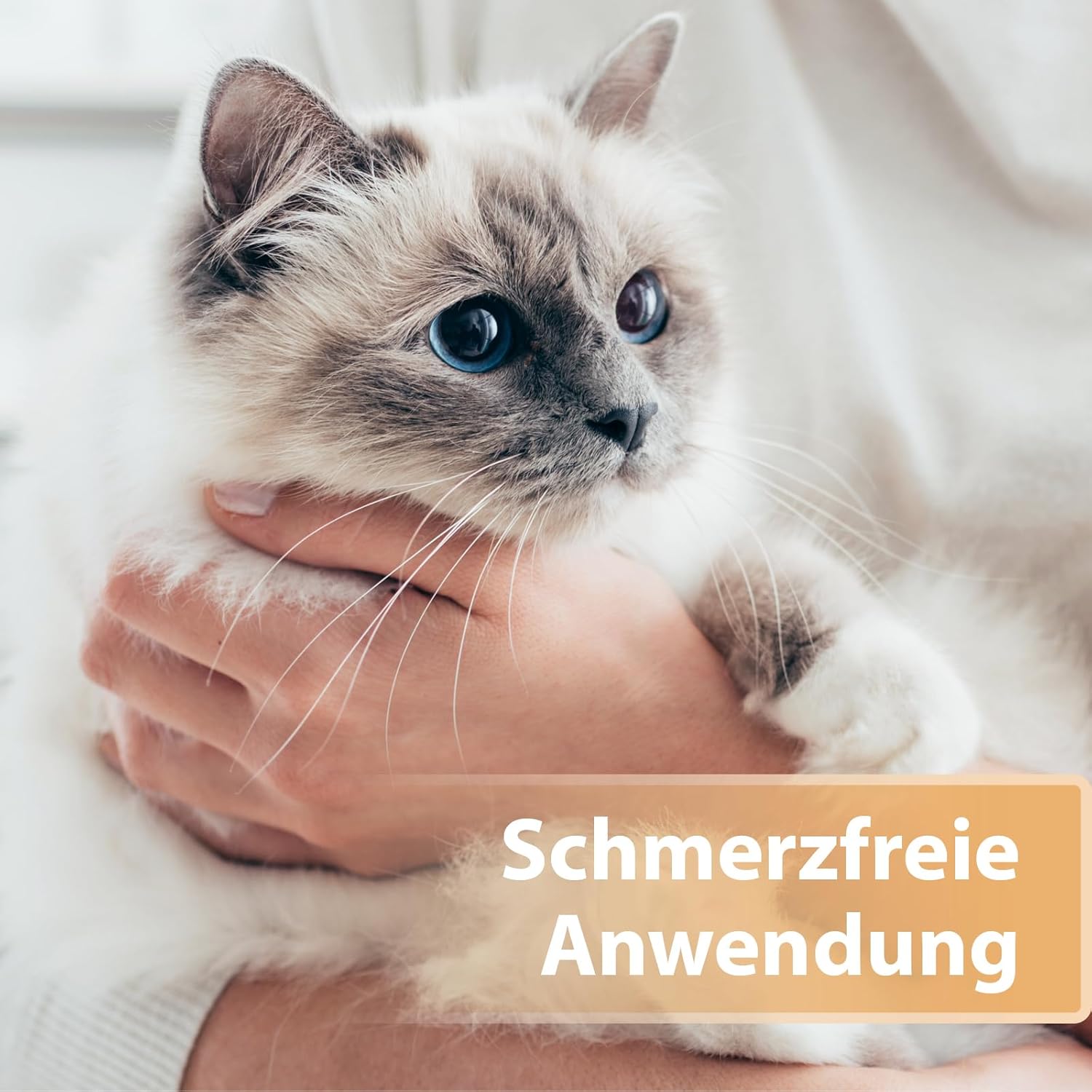 Detalle de Felisept Wundspray für Katzen 75 ml – schonende Wundpflege ohne Schmerz