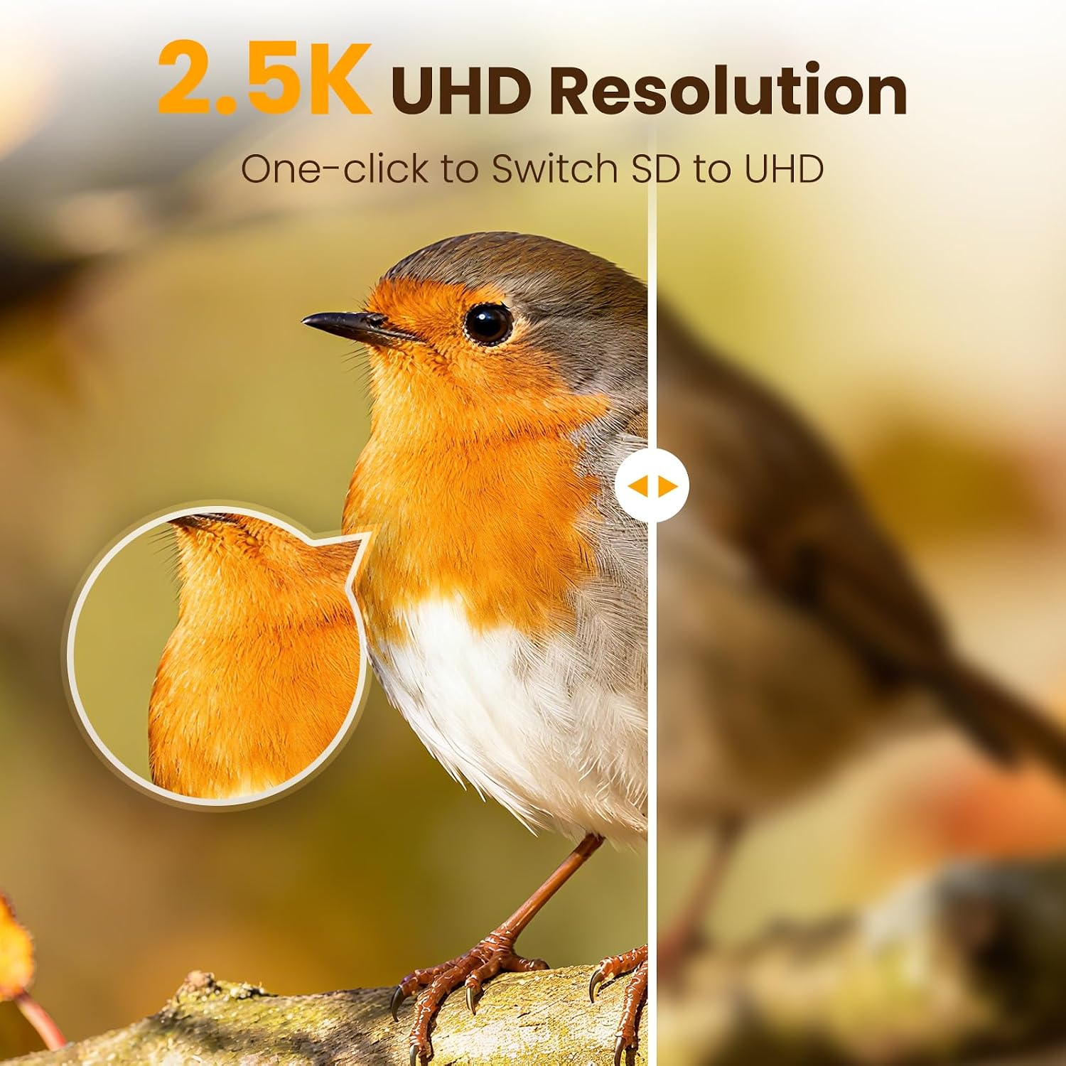 Detalle de 2.5K UHD Bird Feeder Camera Solar Powered with AI Identification, IP66 Outdoor Smart Feeder (Blue)