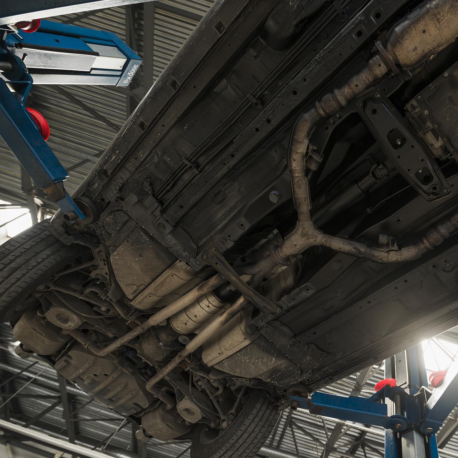 Detalle de ERRECOM DPF Rinse 5 L líquido de enjuague
