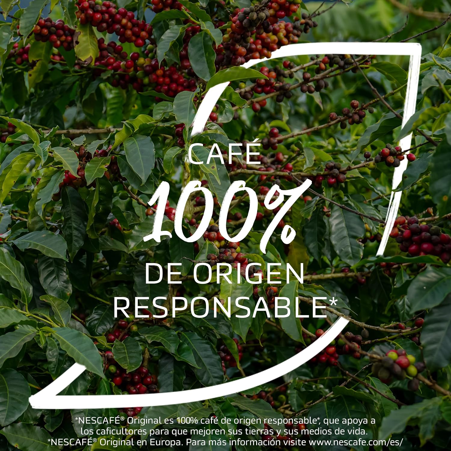 Thumbnail 4 de NESCAFÉ Gold Descafeinado Café 100% Arábica – 6x100g