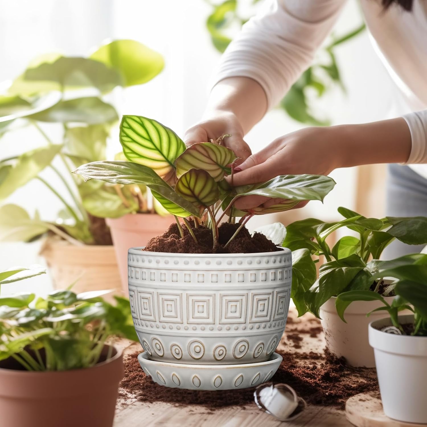 Detalle 2 de G EPGardening Ceramic Plant Pot, 5-Inch
