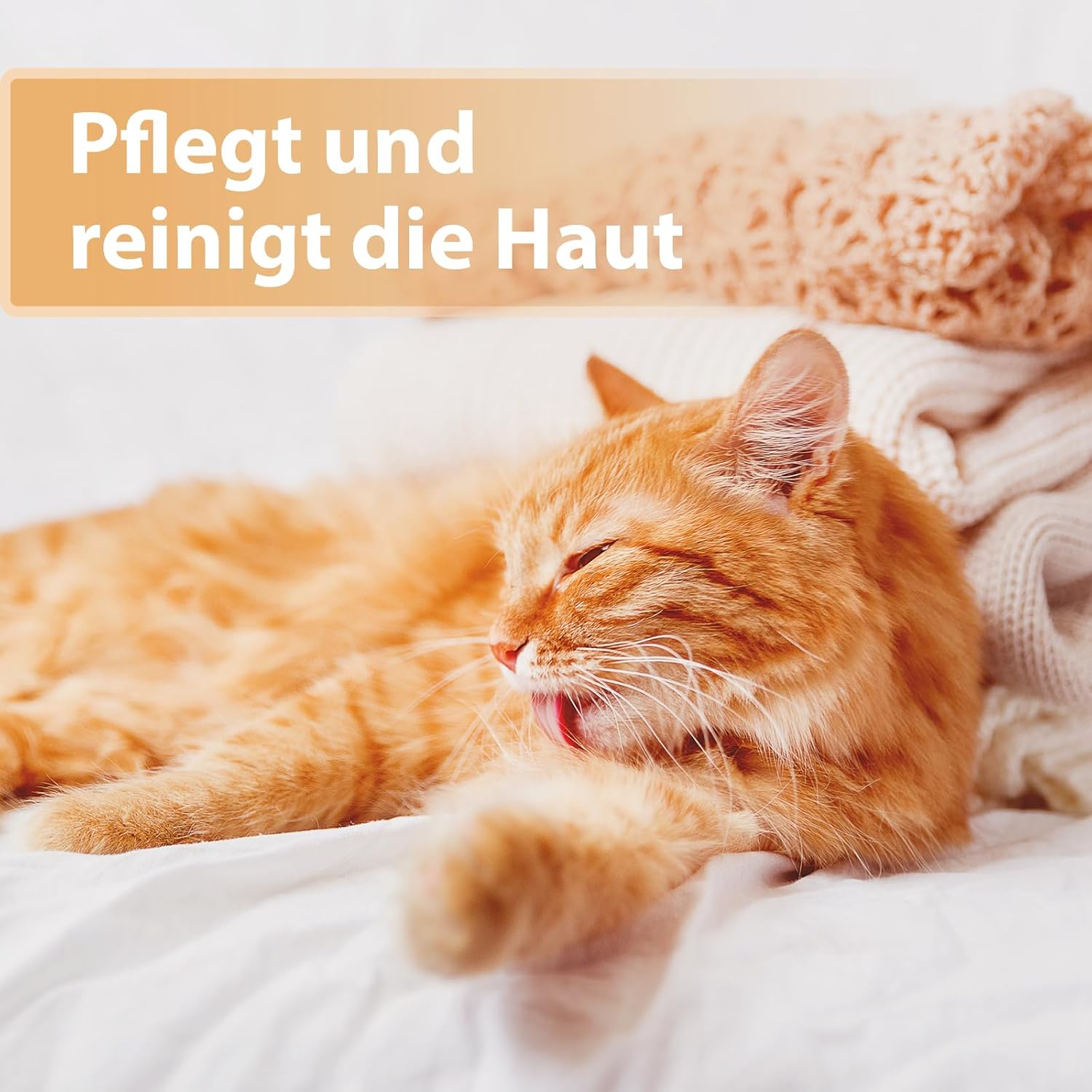 Detalle de Felisept Wundspray für Katzen 75 ml – schonende Wundpflege ohne Schmerz