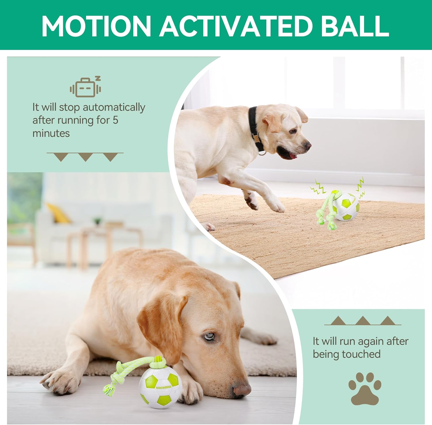 Thumbnail 1 de ALL FOR PAWS Interactive Ball with LED Lights: Motion-Activated Dog Toy for Boredom, USB Rechargeable