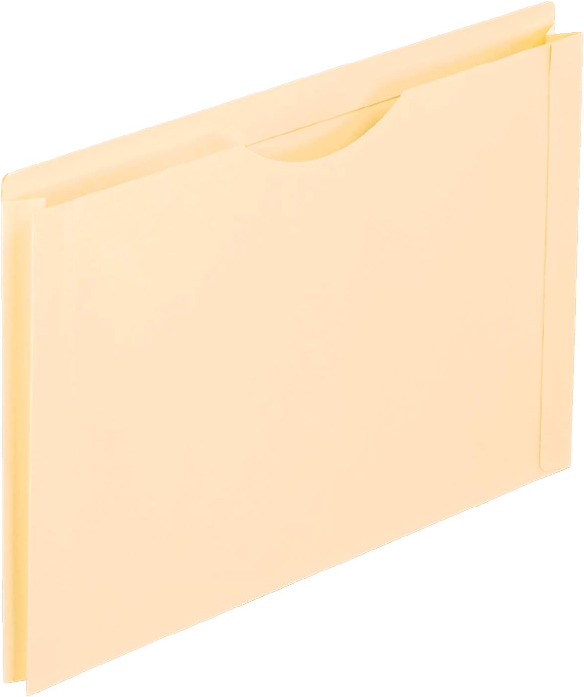 Detalle 2 de Pendaflex File Jacket, 1-Inch Expansion