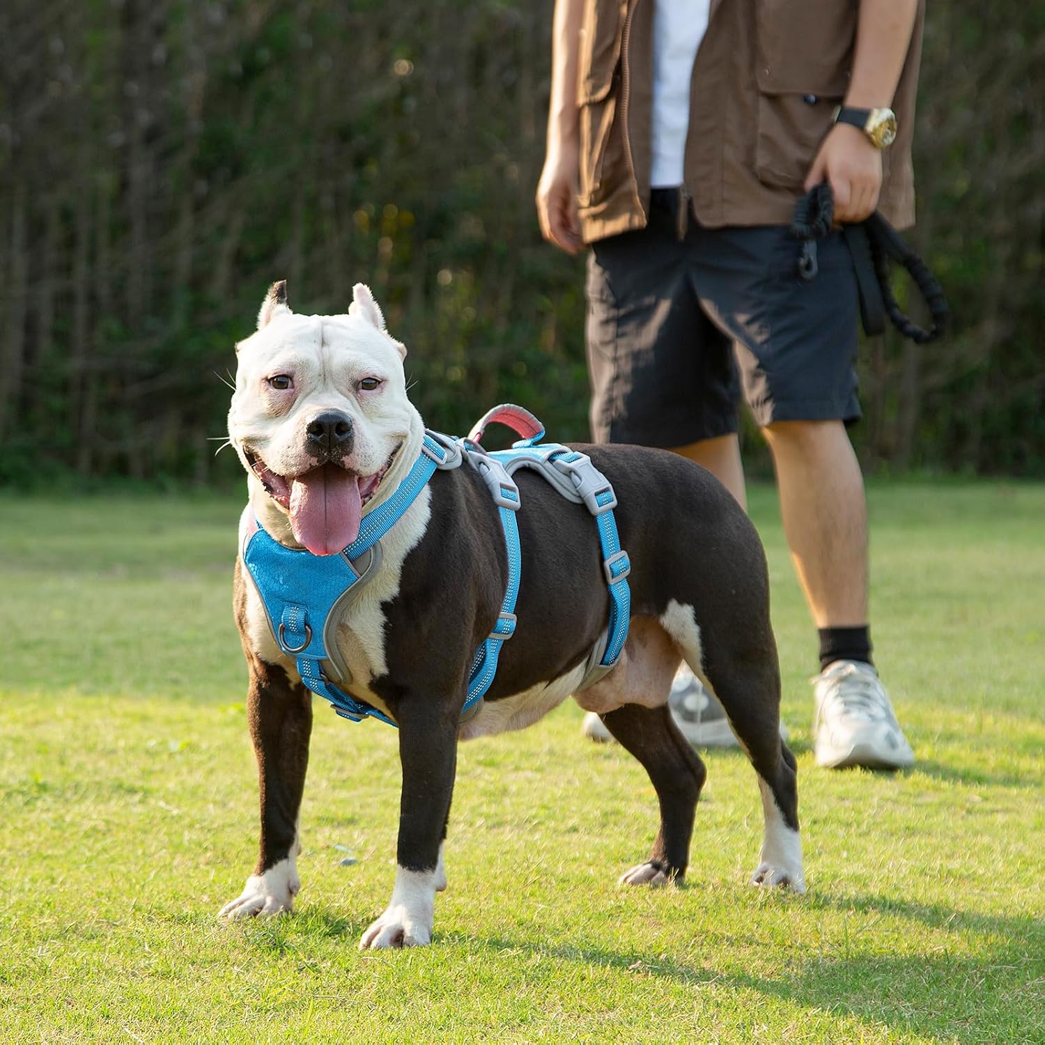 Thumbnail 6 de Huntboo Escape Proof Dog Harness (Medium) – anti-pull with handle, breathable mesh & reflective strips (Blue, M)