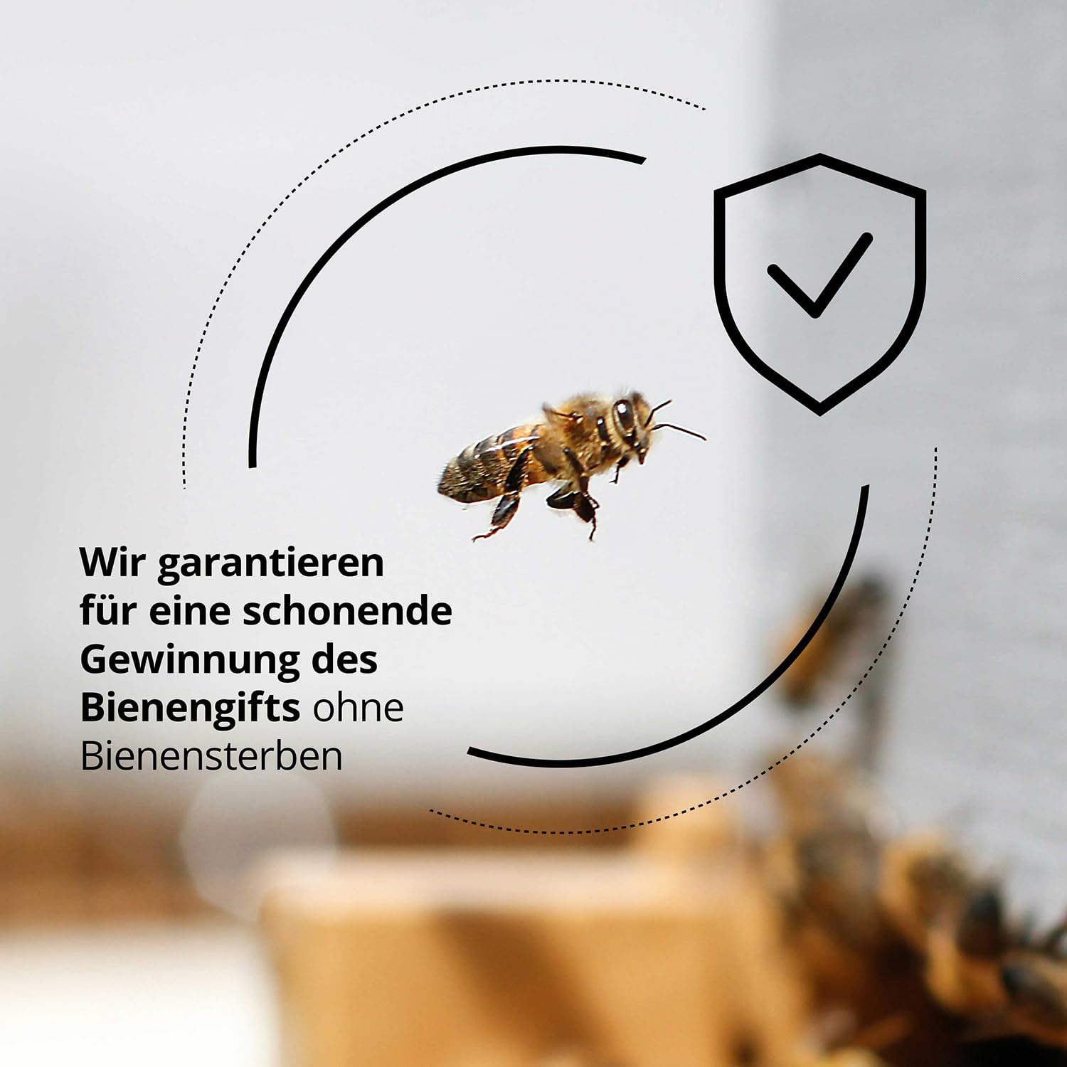 Thumbnail 5 de maorika Bienengiftsalbe mit Manukaöl – kühlende & beruhigende Bienengiftcreme für beanspruchte Haut