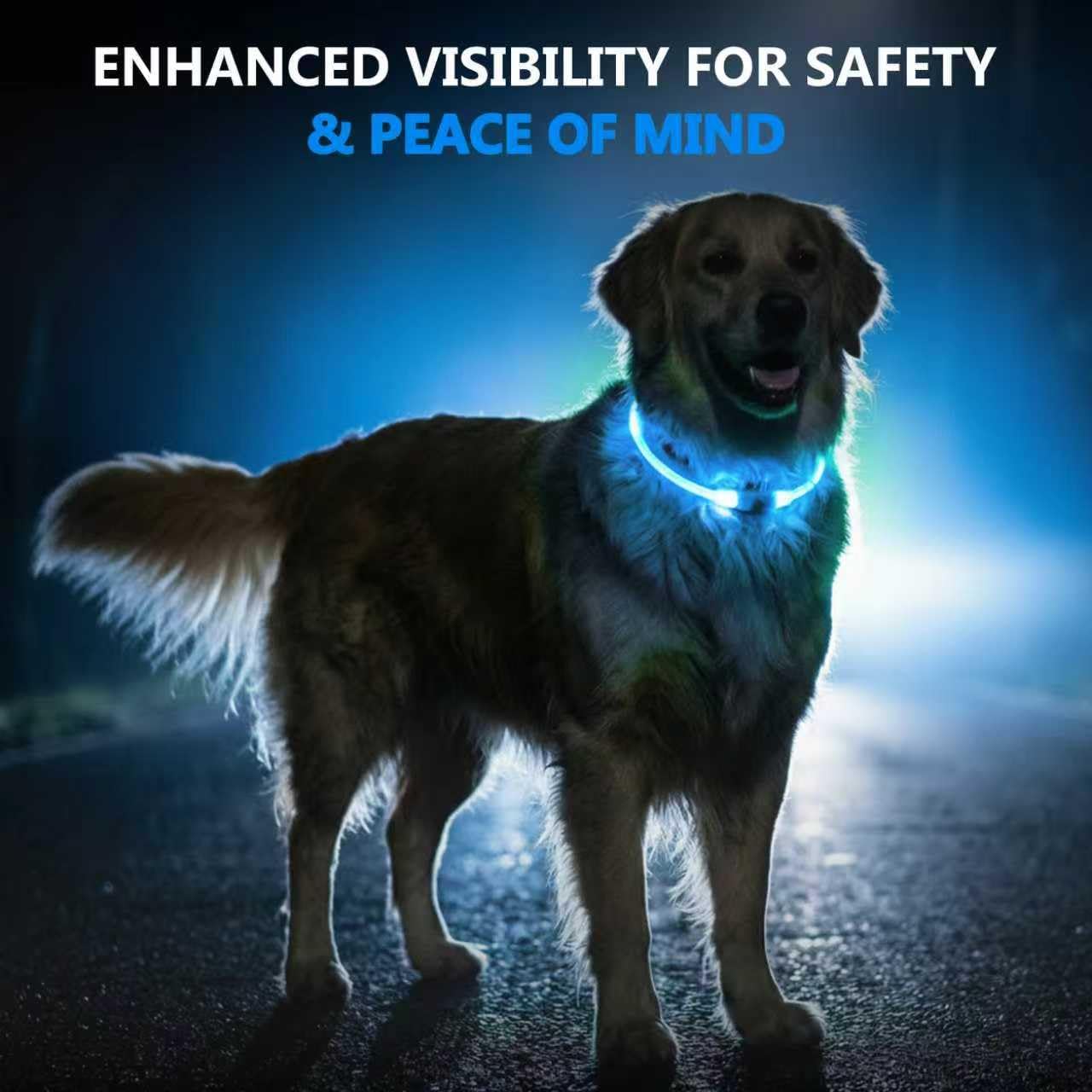 Detalle 2 de Light Up Dog Collar LED 70cm Blue