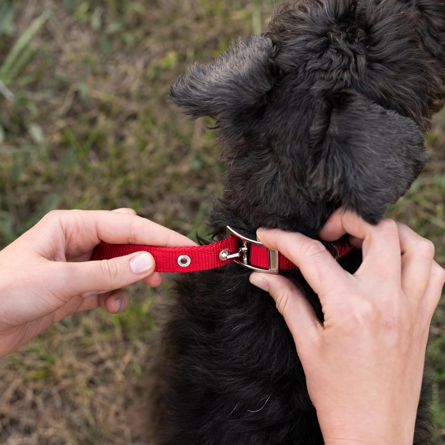 Thumbnail 4 de Ferplast Collier pour chien 32-39 cm