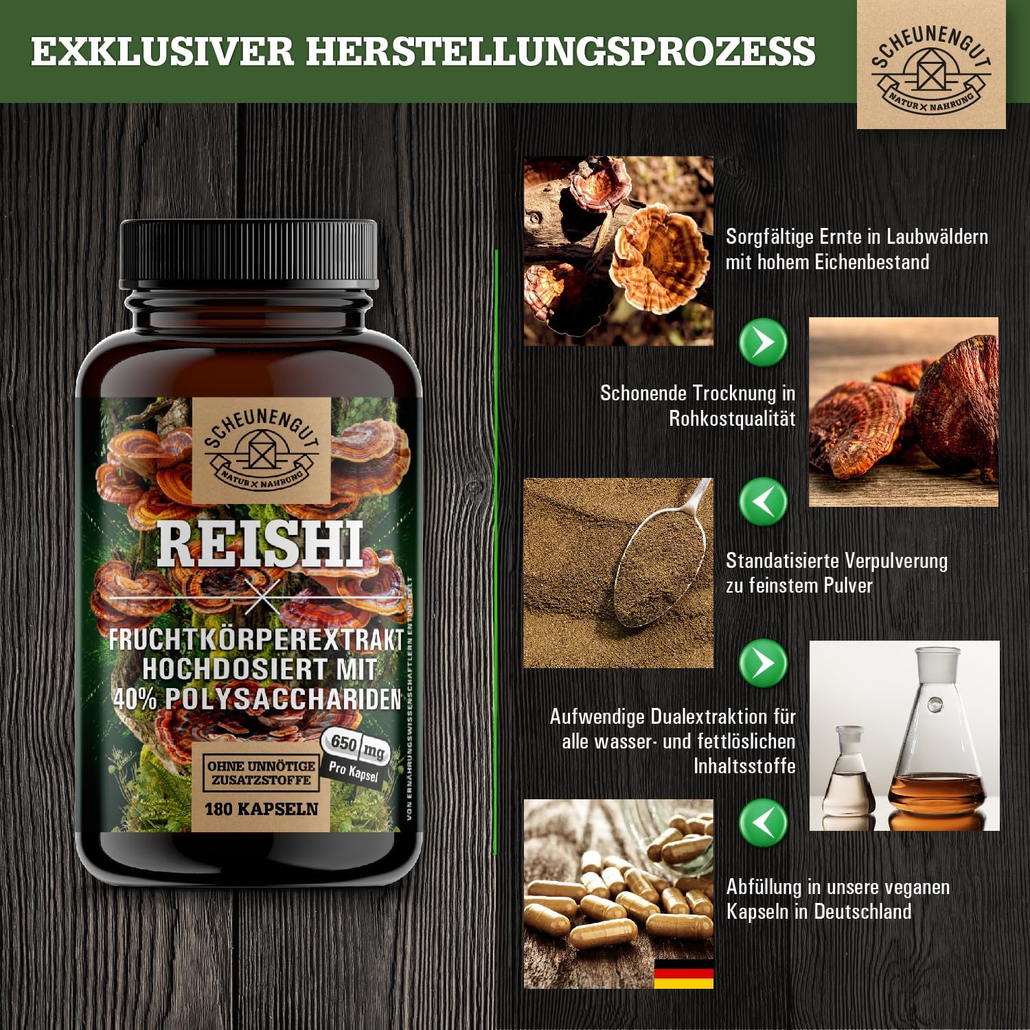 Detalle 2 de Reishi 1950mg Kapseln 20:1 Extrakt 🍄