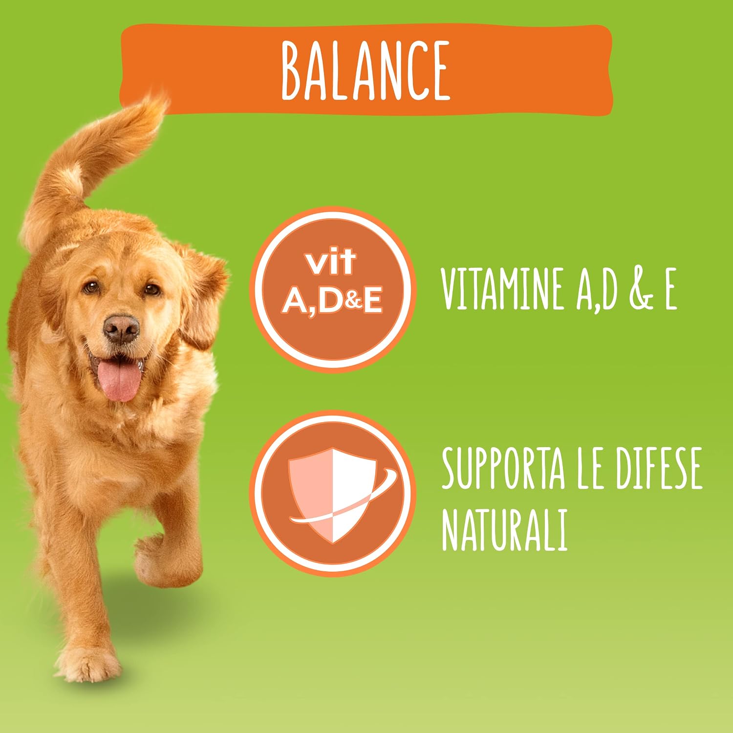 Detalle de Purina Friskies Balance Trockenfutter für Hunde mit Huhn, Rindfleisch und Gemüse – 9 kg