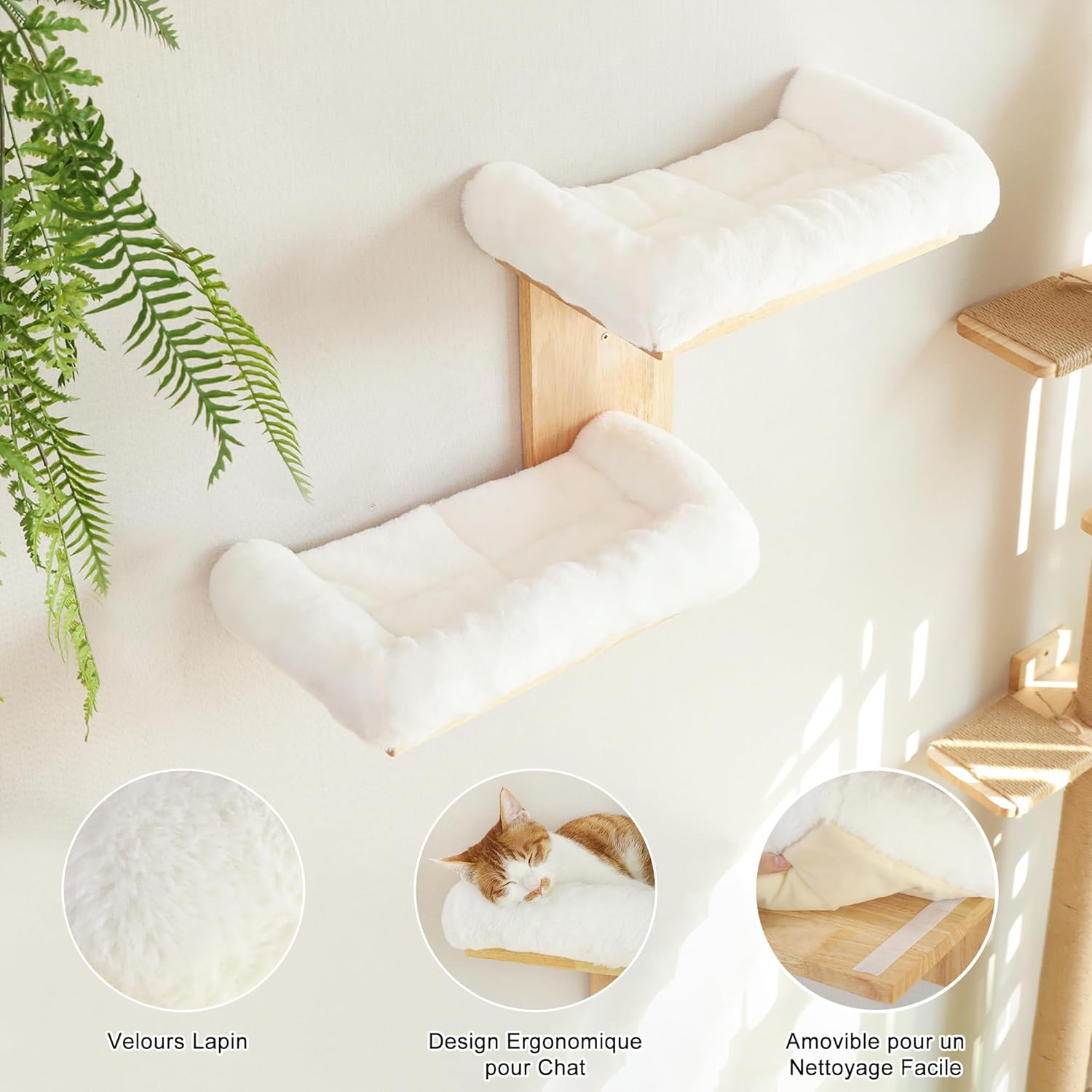 Thumbnail 2 de FUKUMARU Étagères murales pour chat en forme d’arbre – 2 plateformes avec perchoir en hévéa massif