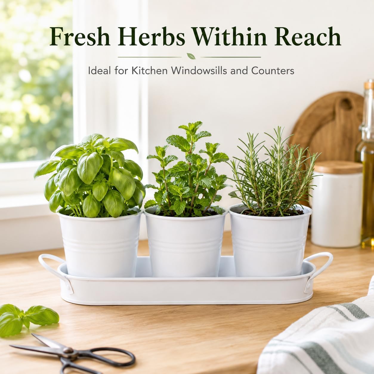 Thumbnail 6 de Indoor herb planter set, 4-inch pots