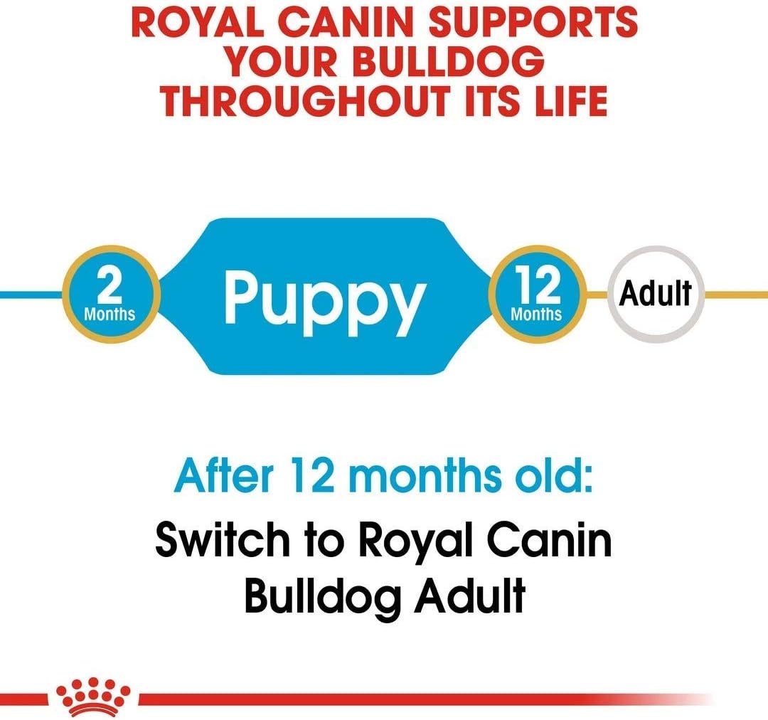 Detalle de Royal Canin Bulldog Junior 12,0 kg : alimentation adaptée pour chiots Bulldog